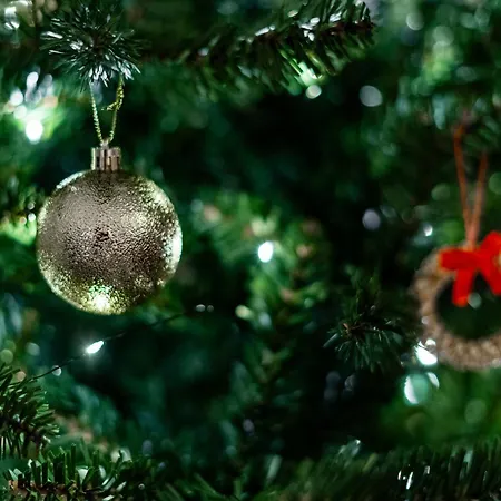 Kammi - Spacious Penthouse In The Downtown With Sauna Appartamento