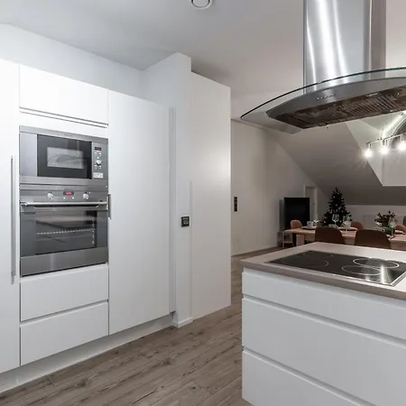شقة Kammi - Spacious Penthouse In The Downtown With Sauna روفانييمي