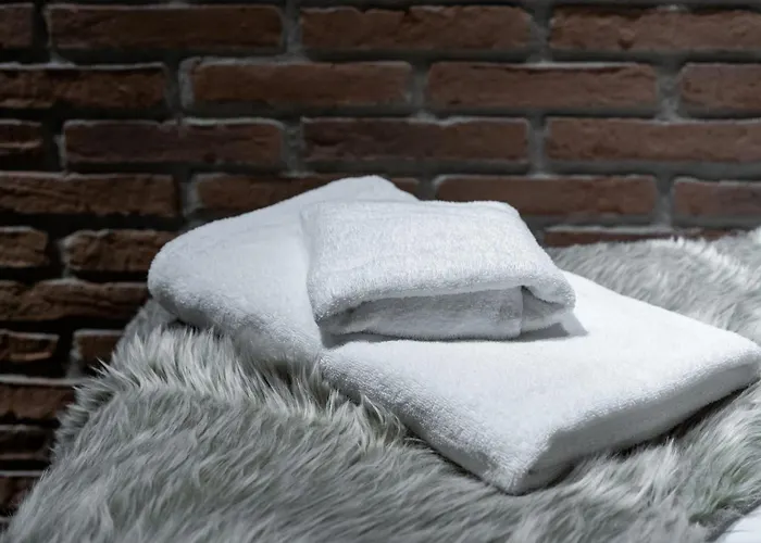 Kammi - Spacious Penthouse In The Downtown With Sauna * Rovaniemi